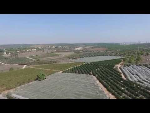 Flight near Gimzu, Israel
