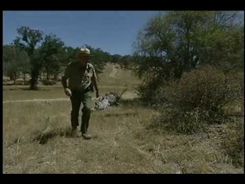 NO PARK ACCESS News Story 8-06