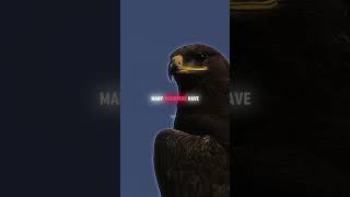 FINISHERS 😈 | RUMIEN #shorts #sigmarule #motivation #attitudestatus