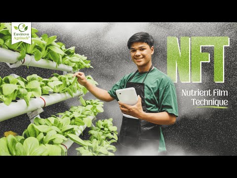  Hydroponic NFT system (Nutrient Film Technique) | How NFT hydroponic system work?