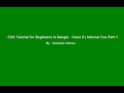 CSS Tutorial for Beginners in Bangla - Class 9 | Internal Css Part-1