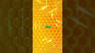 BeeArchitecture #natureinspires   #mathmagiczone  #youtubeshorts