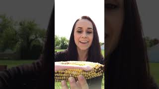 BURST Ambassador Review: Desiree