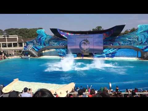 San Diego Sea World