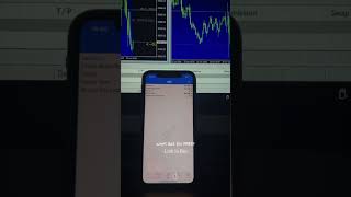profitable algo trading bot, hft , high frequency trading, forex