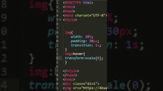 Transition and Transform Scale#css #html #programming #youtube
