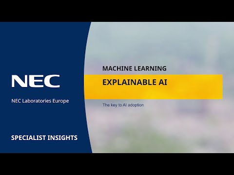 Explainable AI