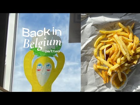 back in belgium pt. 2 | vegan tuna, fries, and pretty skies ☁️