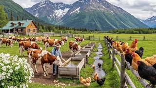 Poultry And Livestock Farming, Fruit And Vegetable Harvesting In Fields And Farms – Relaxing Farm #2