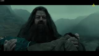 The best harry potter character's first and last scene