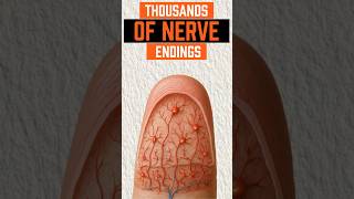 Your Body's Internet #science