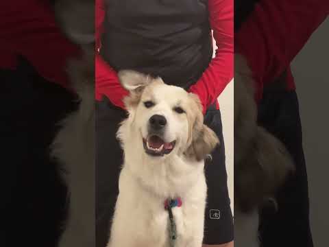 Wiggle wiggle wiggle wiggle, wiggle your ears 