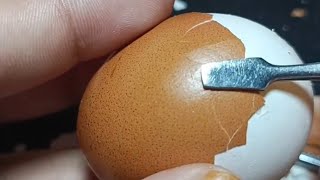 Raw Egg Peeling & Name Writing | Fun & Satisfying