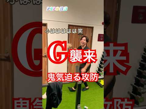 PGPの日常〜ゴ◯ブリ襲来で一同パニック〜【PGPチャンネ】