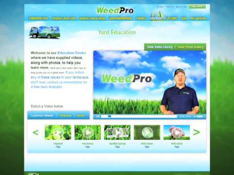 Atlanta Web Development - Weed Pro Website Highlight Clip
