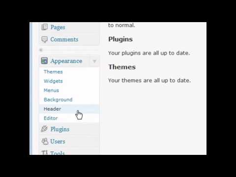 How to Upgrade to WordPress 3.0? (44) Wordpress Video Tutorials