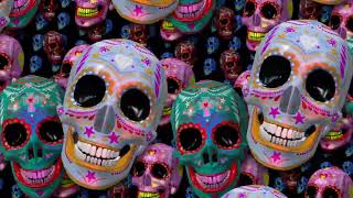 skull vj loop