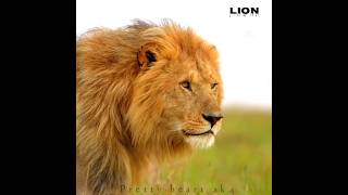 Best attitude status |💯💥 Sigma rule 💥 lion king #shorts #trending #viral