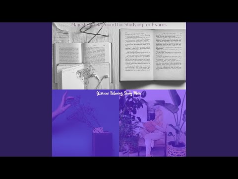 Easy Listening Acoustic Guitar Soundtrack for Quiet Study Time