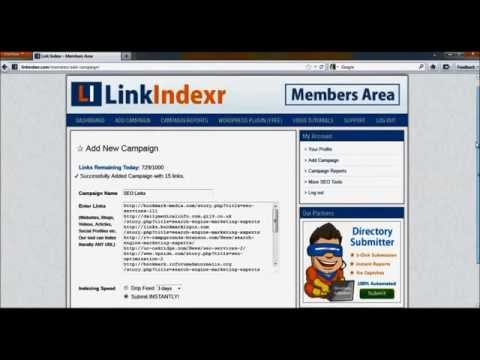 Best Way To Index Your Backlinks - Link Indexr