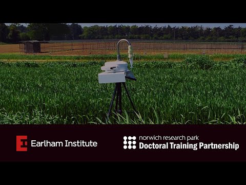 Vacancies at Earlham Institute - Norwich Research Park, Doctoral Training Partnership.
