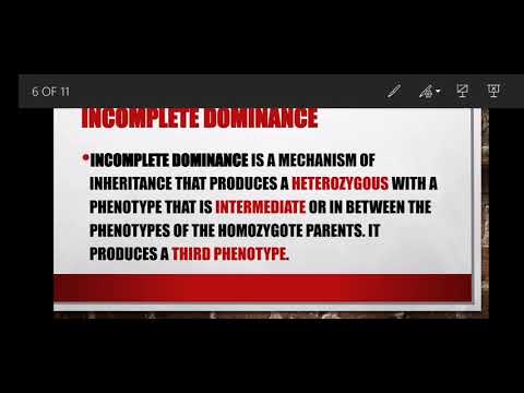 Types of Dominance. Grade 12 Agricultural Sciences. Basic Agricultural Genetics