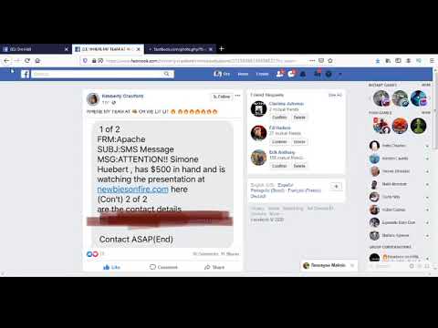 Newbies on fire review 2