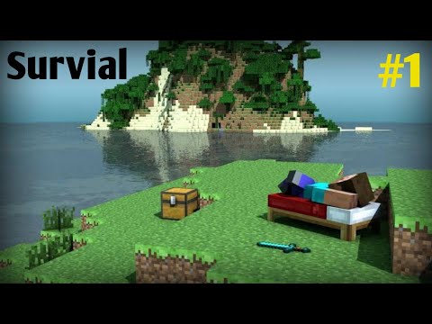 Minecraft survial series #1