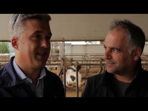 Clarifide Plus - CIRIO Agricola Caserta Video Testimonials
