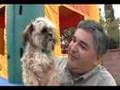 Toto Sings!