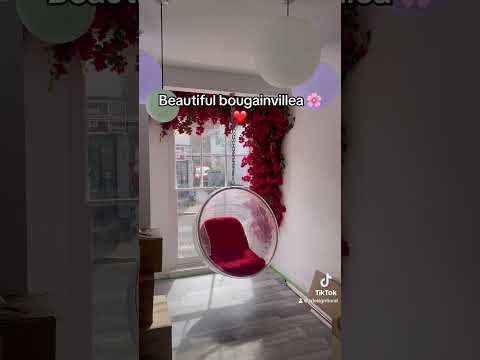 Vibrant magenta pink bougainvillea installed for the boba tea shop in Essex.