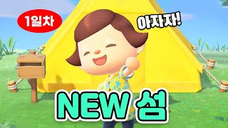 새로운 섬 생활 시작! 이번엔 스위치2입니다🎮｜모동숲 1일차