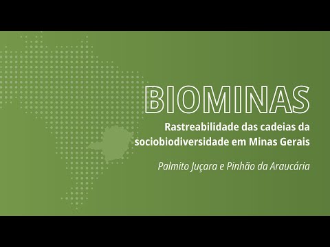 Projeto BIOMINAS - Palmito e Pinhão