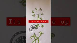 #drawingtutorial #stepbystep #drawing #flowerartwork #flower #youtubeshorts #A@sthetic07 #shorts