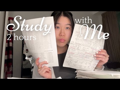 STUDY WITH ME (2 hours real time, background noise)