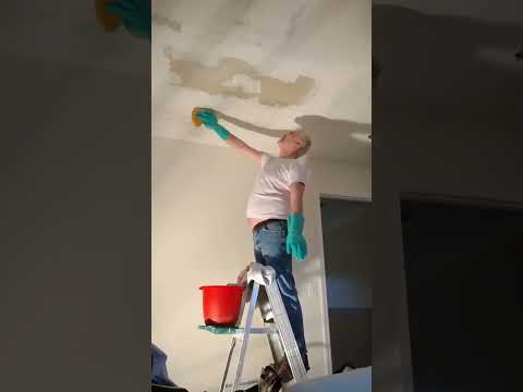 Paint ceiling after stippling removed @tedmcminnis #diy #paintceiling #youcandoit