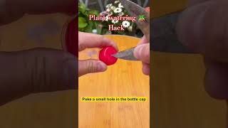plant watering 🪴 hack,  water saving , money saving ❤️ #tricks #hack #lifehackvideo #juggad #diy