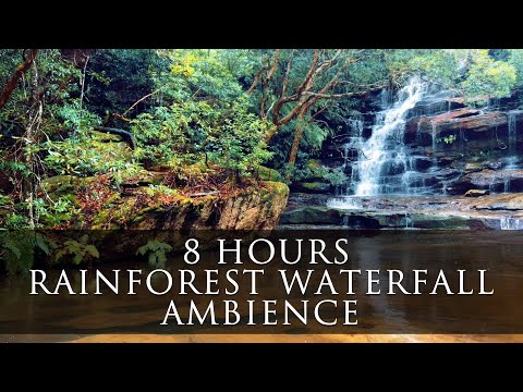 8 Hours Rainforest Waterfall Ambience, Rain & Nature Sounds, White Noise for Sleep, Study, Relax 🌧️🌿