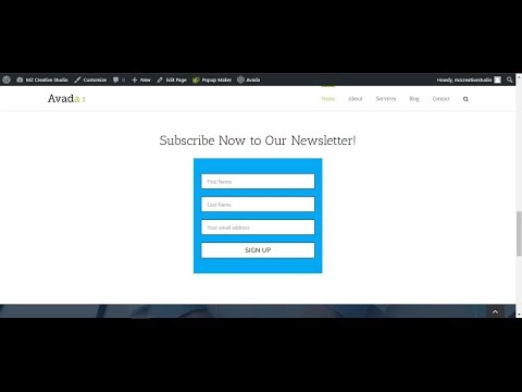 How to add Mailchimp Subscription Form into Avada website