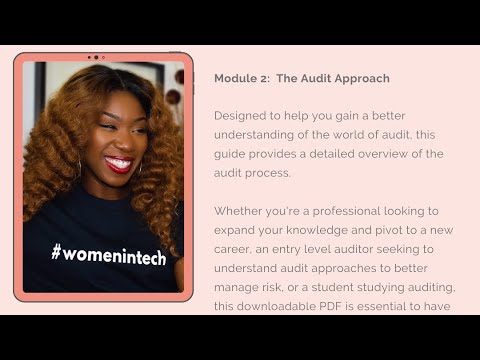 IT AUDIT - The Audit Process