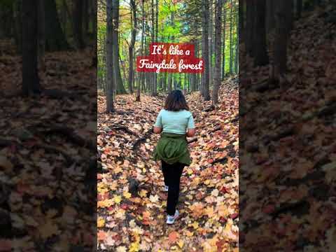 Fall hikes are just something else #canada #travelcanada #shorts