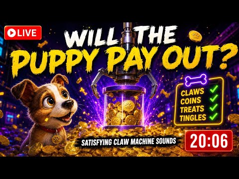 🐾 Puppy Coin House LIVE | Crazy Coin Drops & ASMR