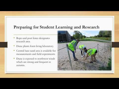 Building a Dune on Campus: Innovation and Perseverance in Science