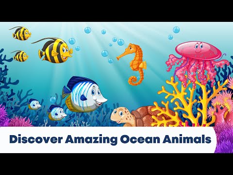 Exploring Ocean Animals: A Fun Learning Adventure for Kids