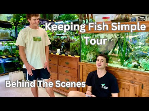 Keeping Fish Simple Tour Behind The Scenes