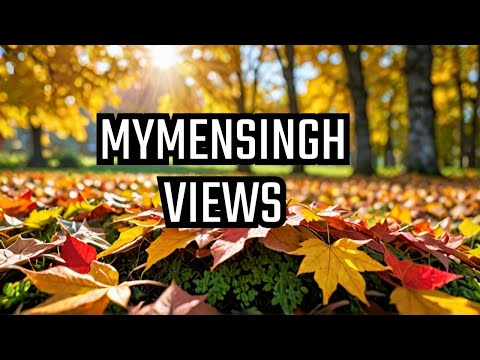 beautiful place🍂🍂 natural vibes🍂🍃natural view in Mymensingh🍂🍃🍃