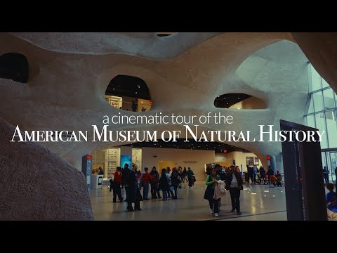 A Cinematic Tour of the American Museum of Natural History | Sony FX3