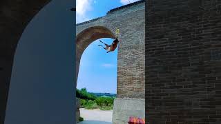 This dog’s jump is unreal #doglover #pets #dogoftheday