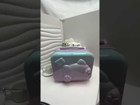 Product Launch Today.#suitcase #luggage