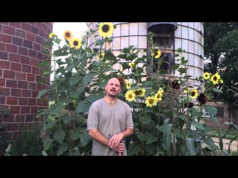 Landguy Dave & new listings
